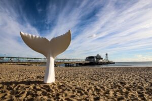 Giant mermaid tail sculpture on display as part of art trail – Bournemouth Echo
