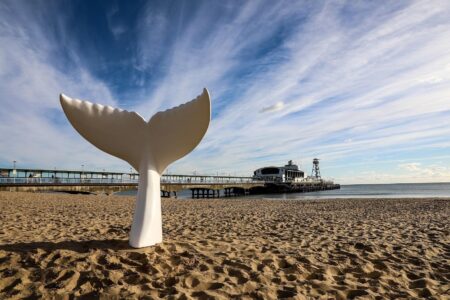 Giant mermaid tail sculpture on display as part of art trail – Bournemouth Echo