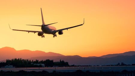 Flight path to net zero – University of Cambridge