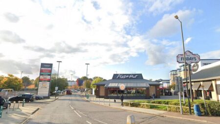 Woman dies and two others left injured after car hits pedestrians near Crawley Leisure Park – Sky News