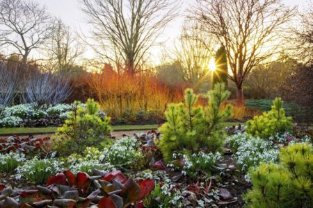 Garden in Cambridge named as the best in the UK – Cambridge News