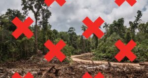 UK imports destroying Liverpool-sized forest each year: New analysis – Global Witness