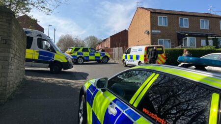 XL bully on the loose after being shot at by police in Sheffield – Sky News