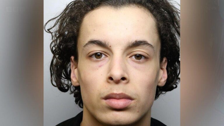 Two boys, 12, found guilty of Shawn Seesahai murder in Wolverhampton – The Guardian