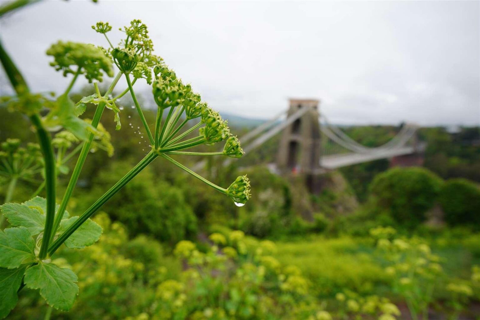 Week of ‘changeable’ weather ahead as rain continues across UK, says Met Office – Warrington Guardian