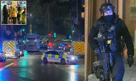 Man who died after street fight in Sheffield named by police – BBC