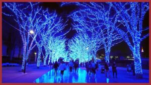 Christmas in the UK as an International Student – University of Portsmouth