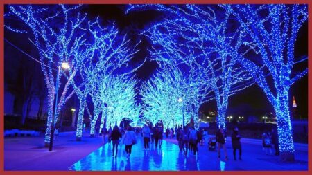 Christmas in the UK as an International Student – University of Portsmouth