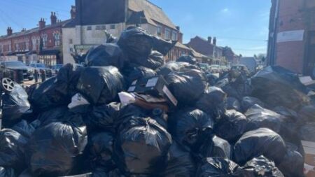 Birmingham bin strike: Why are workers striking – and could it spread? – Sky News