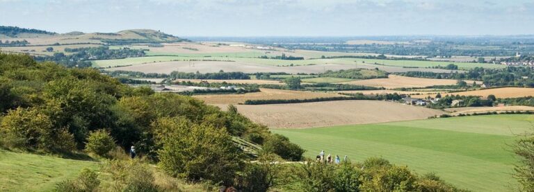 Oxford Cambridge Arc: Keeping Cambridgeshire and Peterborough at the cutting edge – ChamberUK