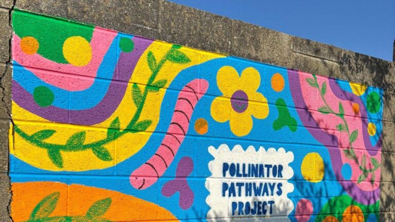 Bristol woman’s mission to transform UK’s ‘drab’ alleyways – BBC