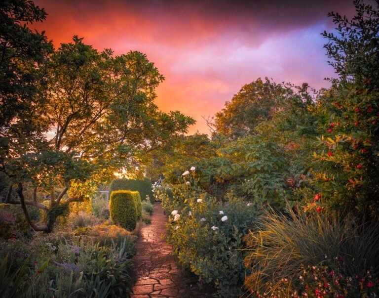 Exclusive open day at historic gardens near Cambs city – Cambridge News