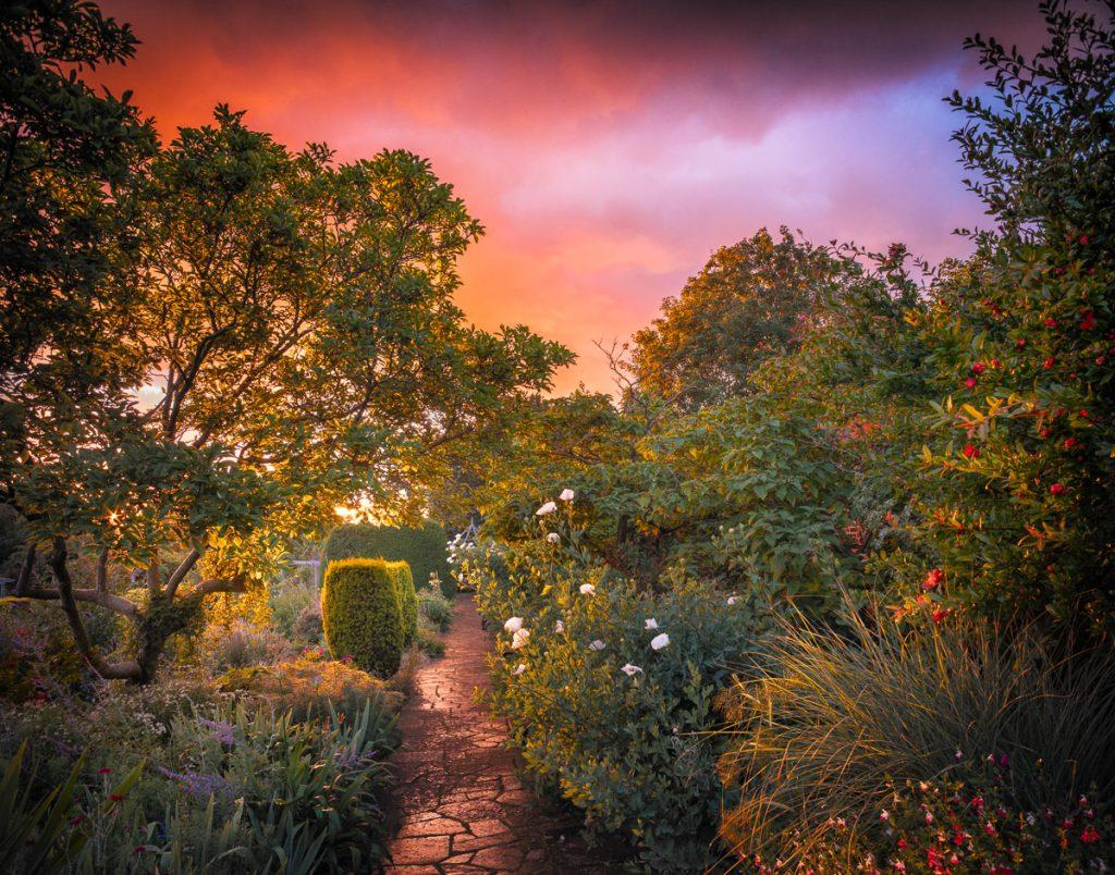 Exclusive open day at historic gardens near Cambs city – Cambridge News