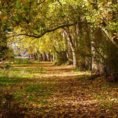 Lane closures set to begin on Westfield Road Bridge near Bourges Boulevard in Peterborough – Peterborough Telegraph