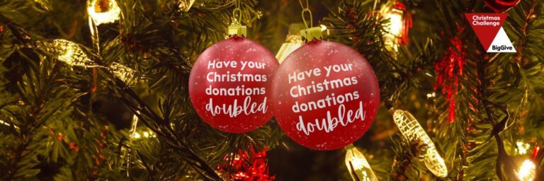 Big Give Christmas Campaign 2024 – Pledgers Needed – Age UK