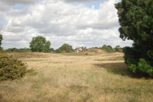 Sutton Hoo breakthrough as expert finally solves 85-year-old mystery over burials – Daily Express