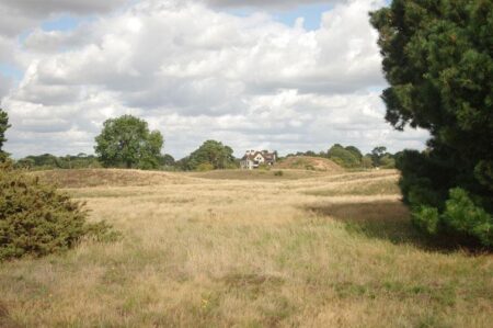 Sutton Hoo breakthrough as expert finally solves 85-year-old mystery over burials – Daily Express