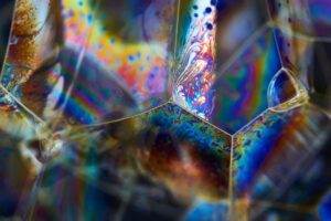 Call for high-risk, high-reward research ideas in 2024/25 funding round – oxfordmartin.ox.ac.uk
