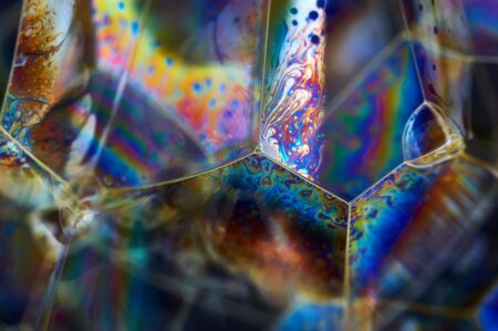Call for high-risk, high-reward research ideas in 2024/25 funding round – oxfordmartin.ox.ac.uk