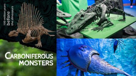 Mansfield Museum premieres exhibition charting early history of mankind – Mansfield District Council