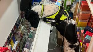 Illegal cigarettes found during raids on Southend-on-Sea shops – BBC