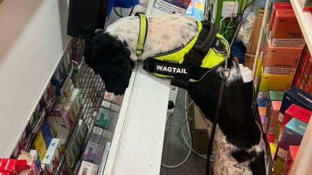 Illegal cigarettes found during raids on Southend-on-Sea shops – BBC