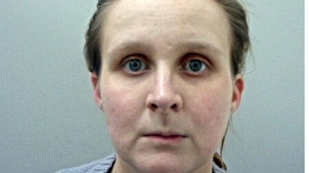 Crawley: Young mum ‘stabbed by partner’, court told – BBC