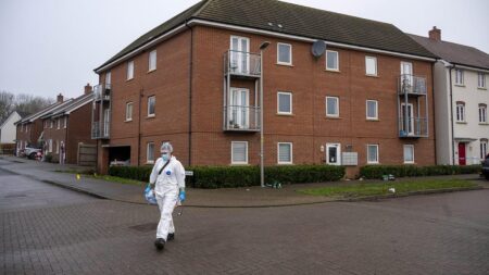 Two women and dog killed after Christmas Day ‘stabbing’ at flat in Milton Keynes – Sky News