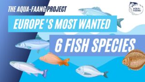 Scottish Fish Immunology Research Centre – University of Aberdeen