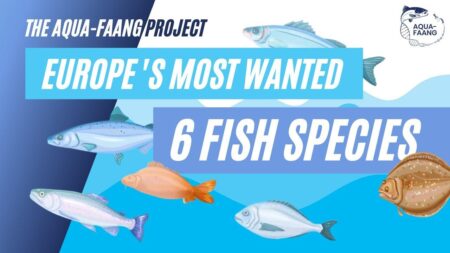 Scottish Fish Immunology Research Centre – University of Aberdeen