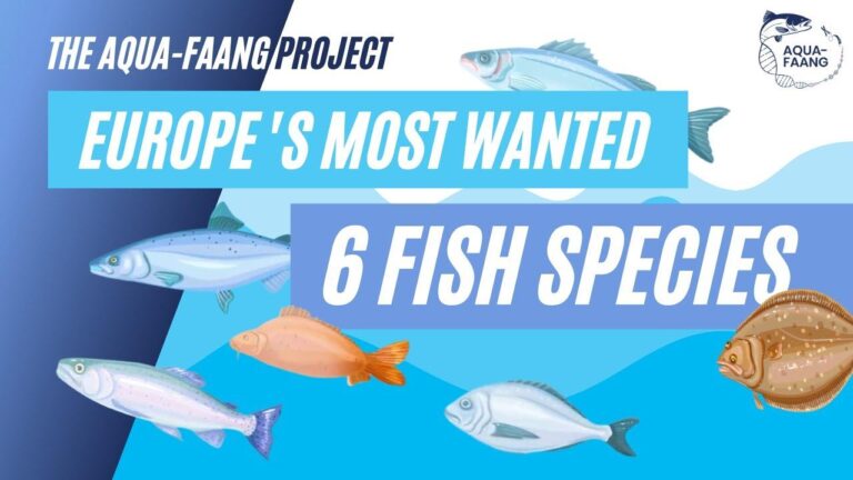 Scottish Fish Immunology Research Centre – University of Aberdeen