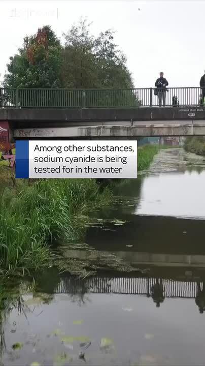 Update: Anochrome Ltd admits spilling toxic chemical into Walsall canal – The Chemical Engineer