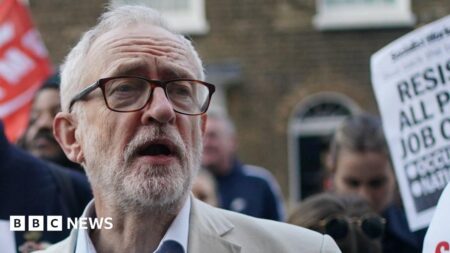 Jeremy Corbyn: Labour shortlists two for Islington North seat – BBC