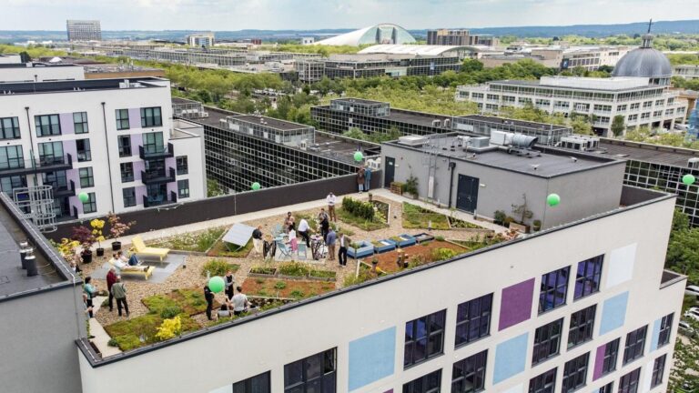 Green roof studied on Milton Keynes Open University building – BBC Green roof studied on Milton Keynes Open University building – BBC