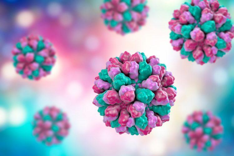 Stay safe to reduce the spread of norovirus – Walsall Council