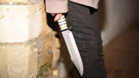 Two boys, 13, receive eight-year minimum terms for Wolverhampton machete murder – The Guardian