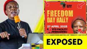 Malema denied UK visa – The Citizen