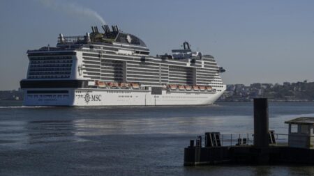 Man killed on luxury cruise ship MSC Virtuosa was ‘on stag do with pals’ when ‘chaos’ broke out – The Mirror