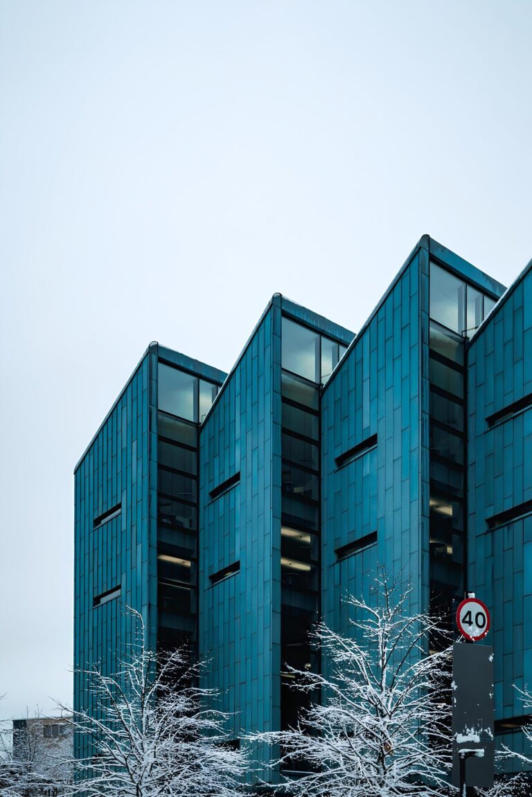 Sheffield declared a UK City of Languages – University of Sheffield