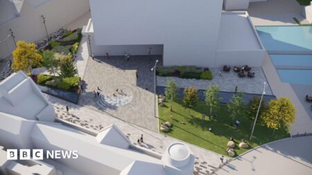 Plans for Walsall town centre public area revealed – BBC