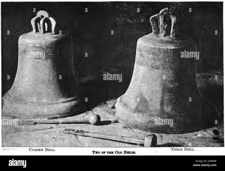 Church bells to ring out for swifts return to Derby – BBC