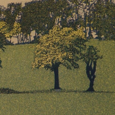 The people have spoken – is Sutton part of leafy Surrey or urban south London? – This Is Local London