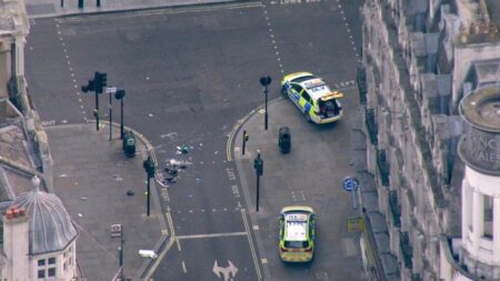 UK Authorities Arrest Suspect for Stabbing in Leicester Square Following Weeks of Civil Unrest – ASIS