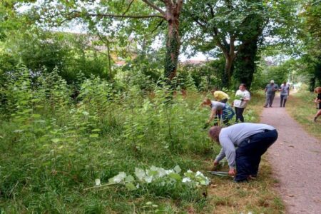 Local mental health group enhances city’s green spaces – Portsmouth City Council