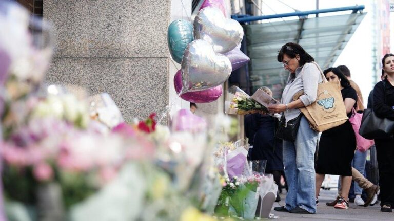 Teenager guilty of murdering Elianne Andam in Croydon after row over teddy – The Guardian