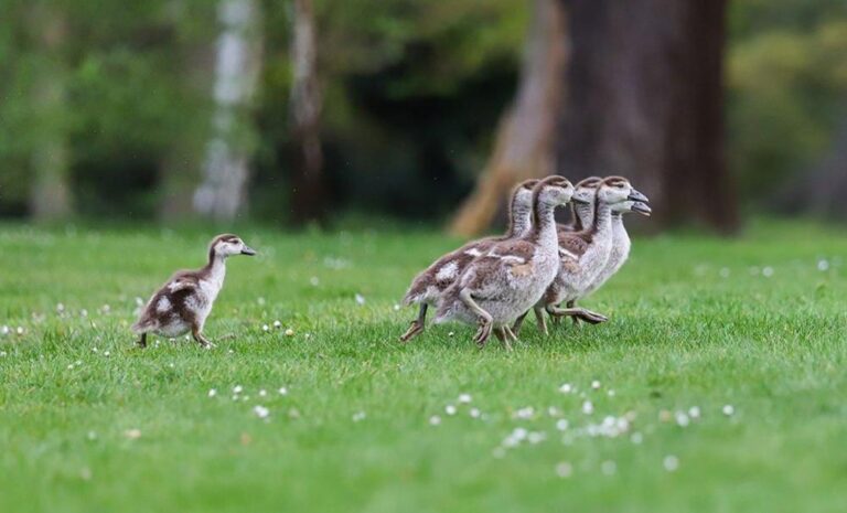 Record-breaking spring weather: How the UK nations compare – Glasgow Times