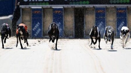 Greyhound racing at the Swindon Abbey Stadium will end this year – BBC