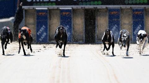 Greyhound racing at the Swindon Abbey Stadium will end this year – BBC