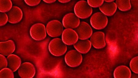 Researchers discover new blood group system – MAL – University of Bristol