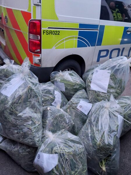 Cannabis worth £60,000 seized at Wolverhampton shop with three arrests made – Birmingham Live